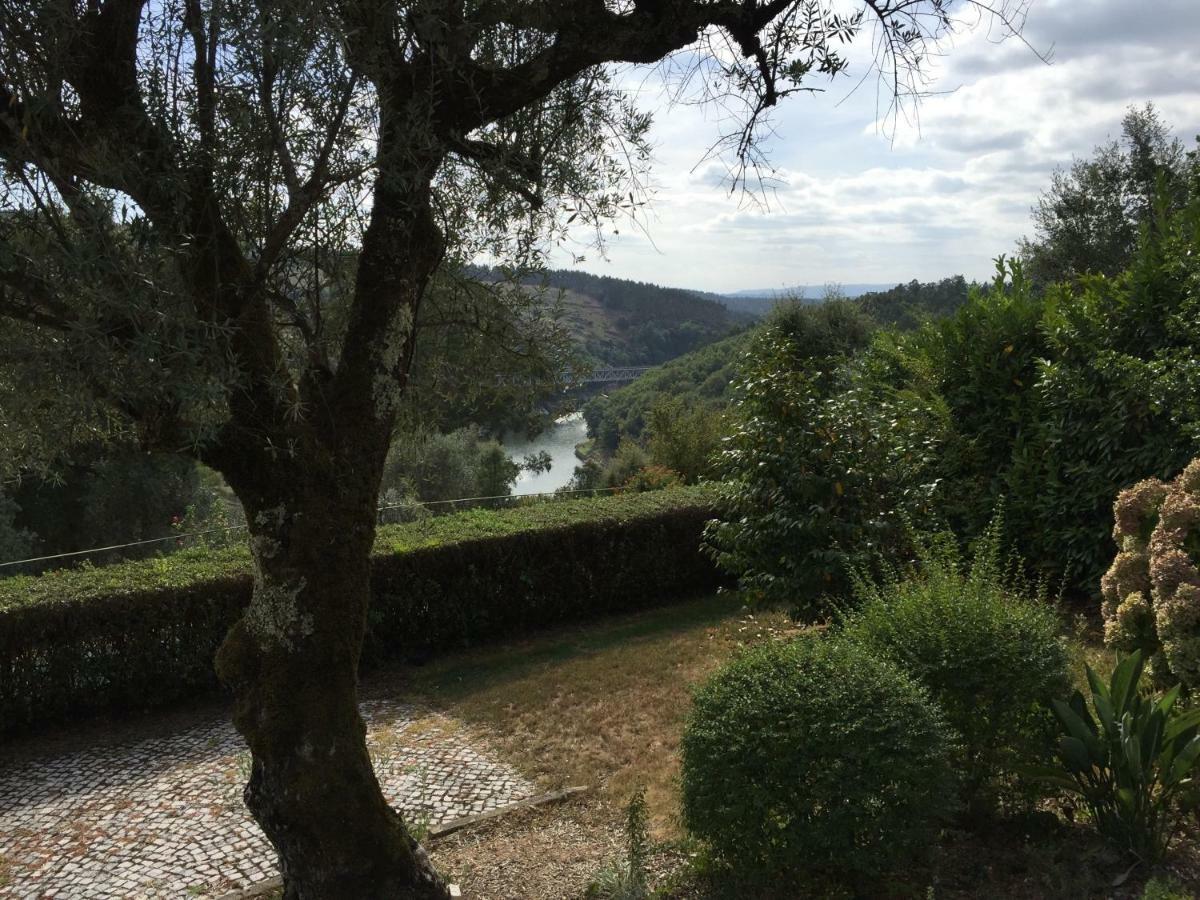 Вілла Quinta De Santa Maria Do Dao Санта-Комба-Дан Екстер'єр фото